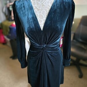 Vince Camuto Emerald Long Sleeve Velvety Dress